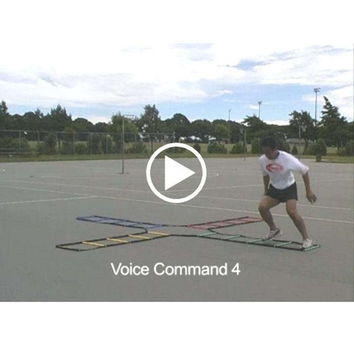 Multi - Coloured Ladder Online Video - R80Sports