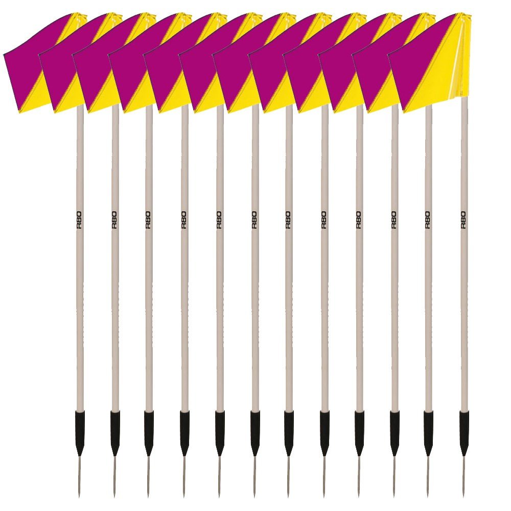 Sideline Pole with Club Colours Flag Sets - R80Sports